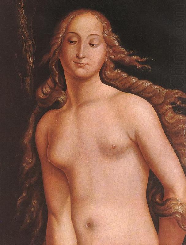 Eve (detail)  l97, BALDUNG GRIEN, Hans